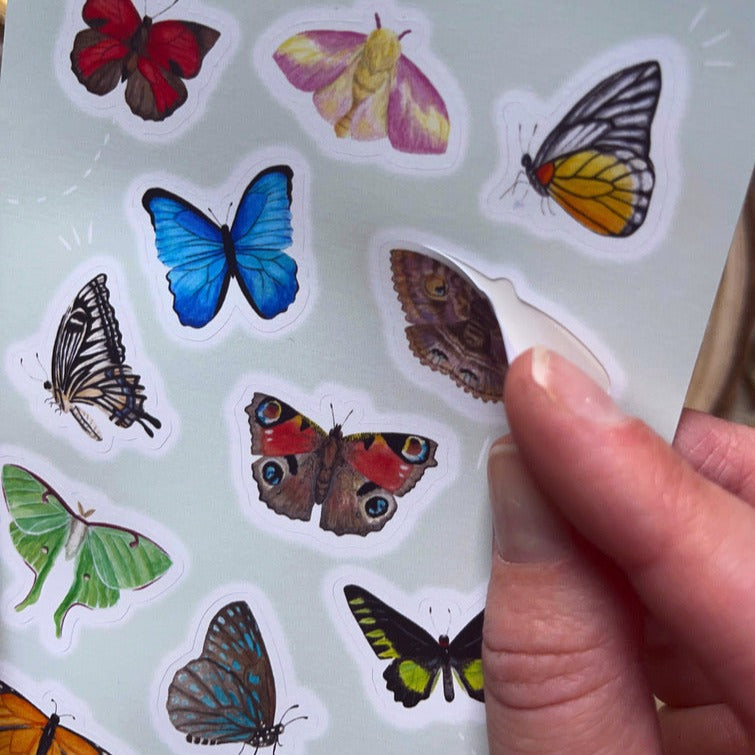 Butterflies and Moths Sticker Sheet