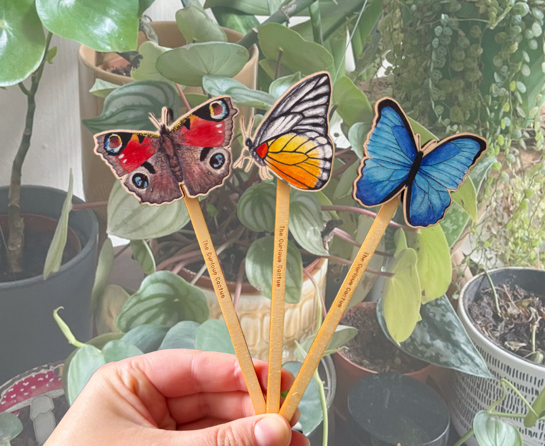 Red Spot Sawtooth Butterfly Plant Pot Pal