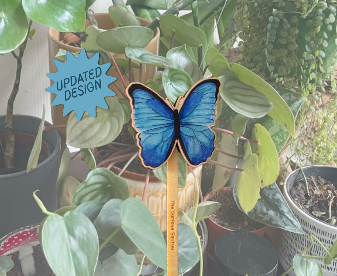 Blue Morpho Butterfly Plant Pot Pal