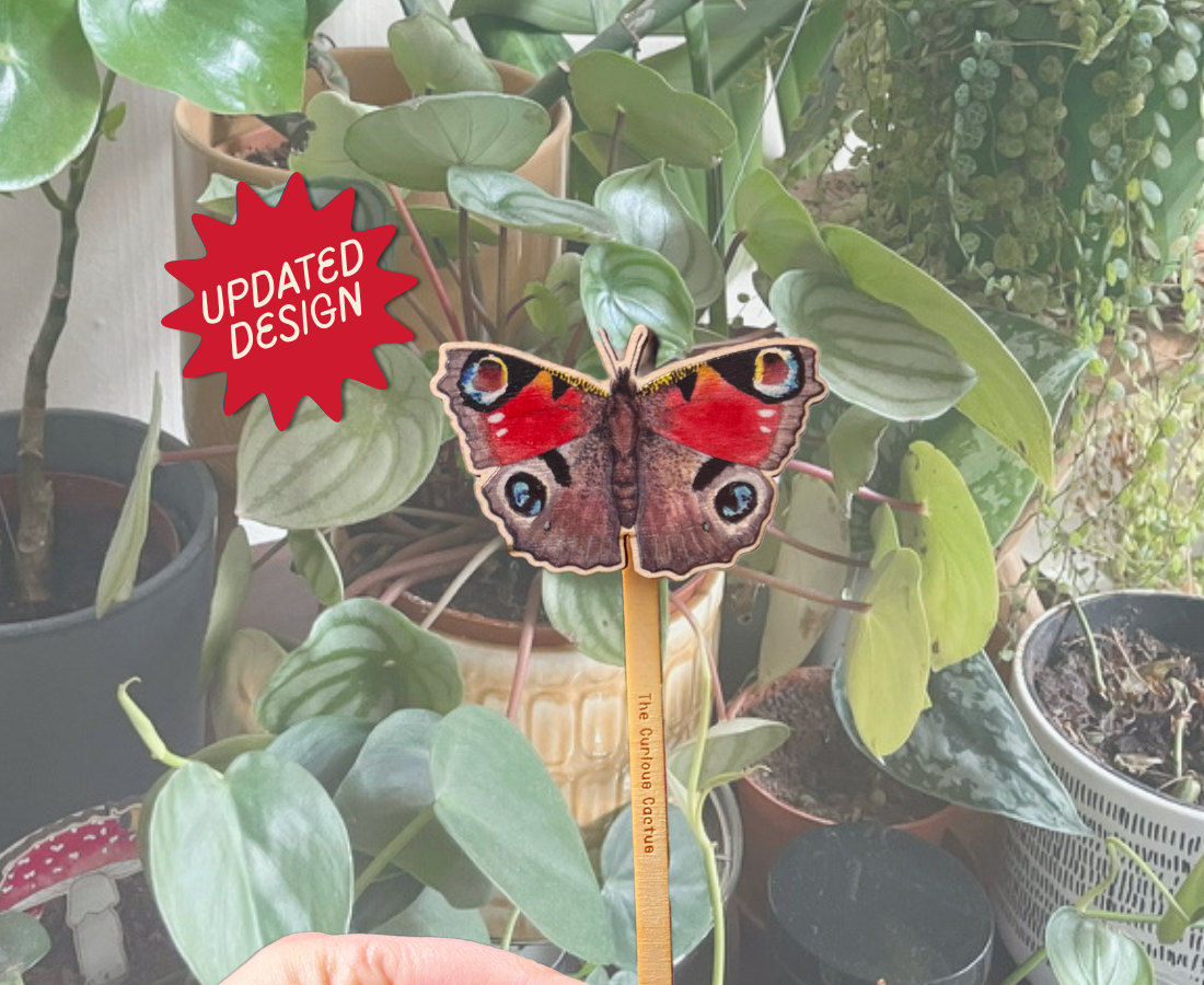 Peacock Butterfly Plant Pot Pal