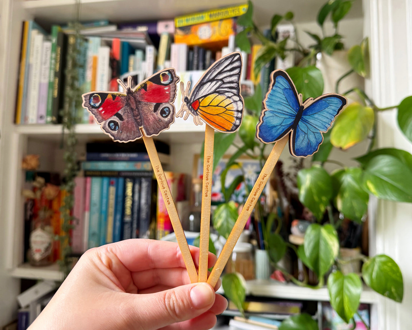 Red Spot Sawtooth Butterfly Plant Pot Pal