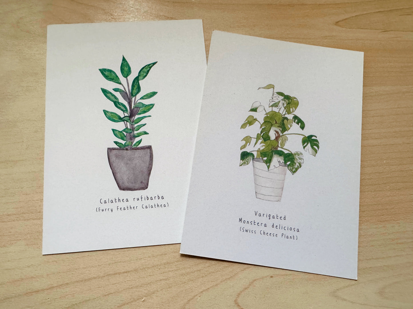 SECONDS Mystery Art Postcard Bundles