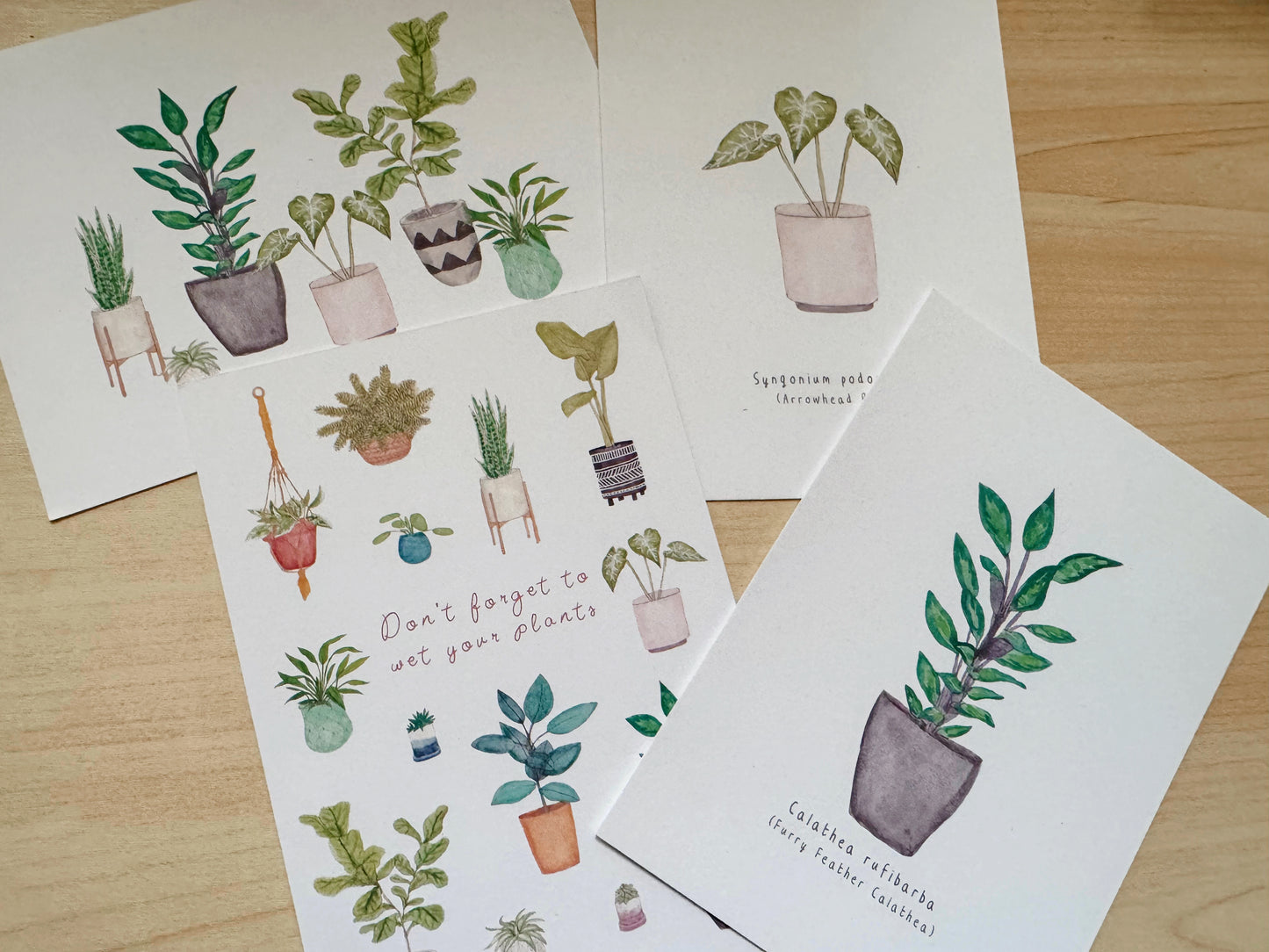 SECONDS Mystery Art Postcard Bundles