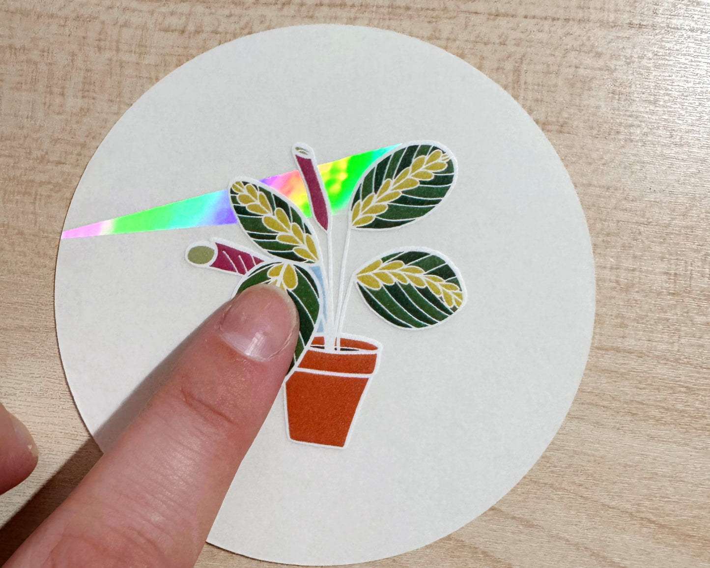 SECONDS Prayer Plant Suncatcher Sticker