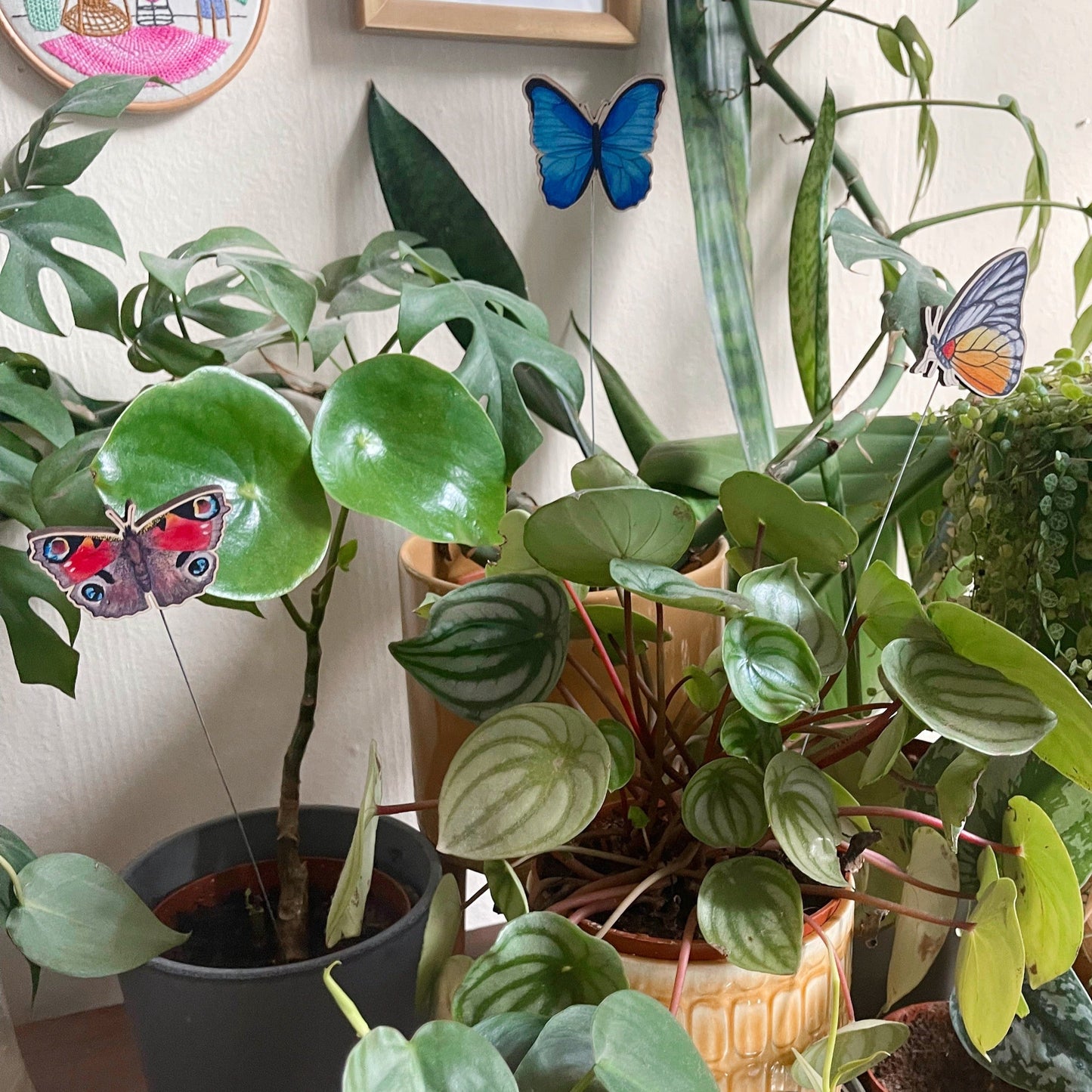 Blue Morpho Butterfly Plant Pot Pal