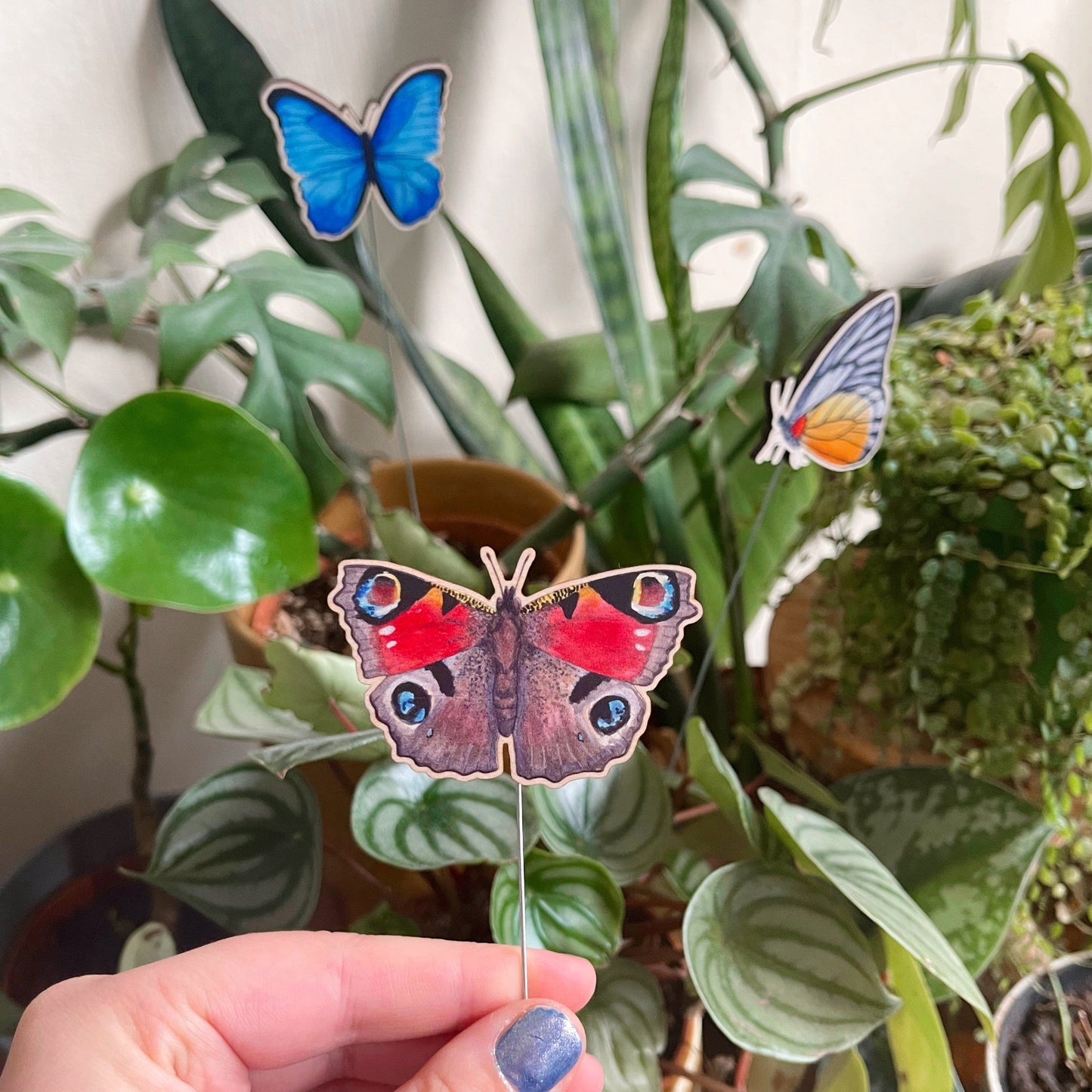 Blue Morpho Butterfly Plant Pot Pal