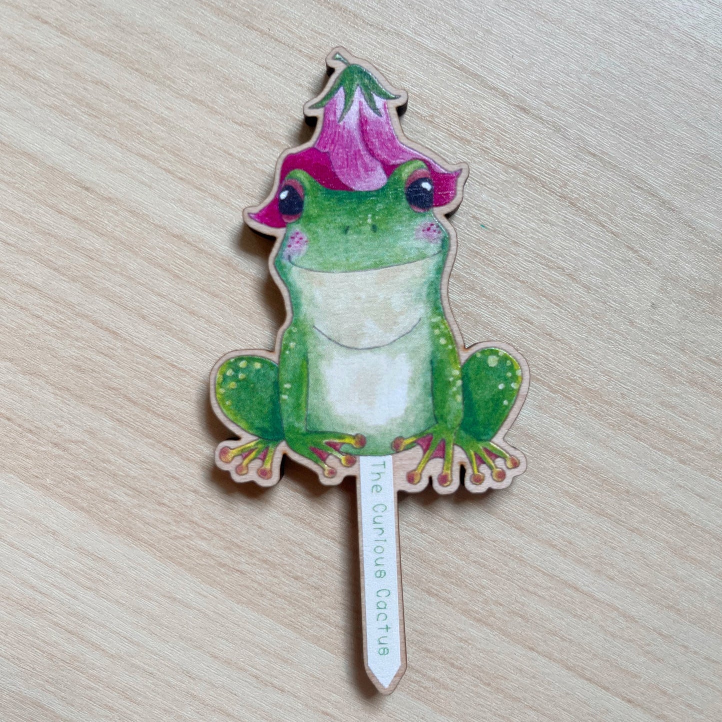 Froggy Plant Pot Pal
