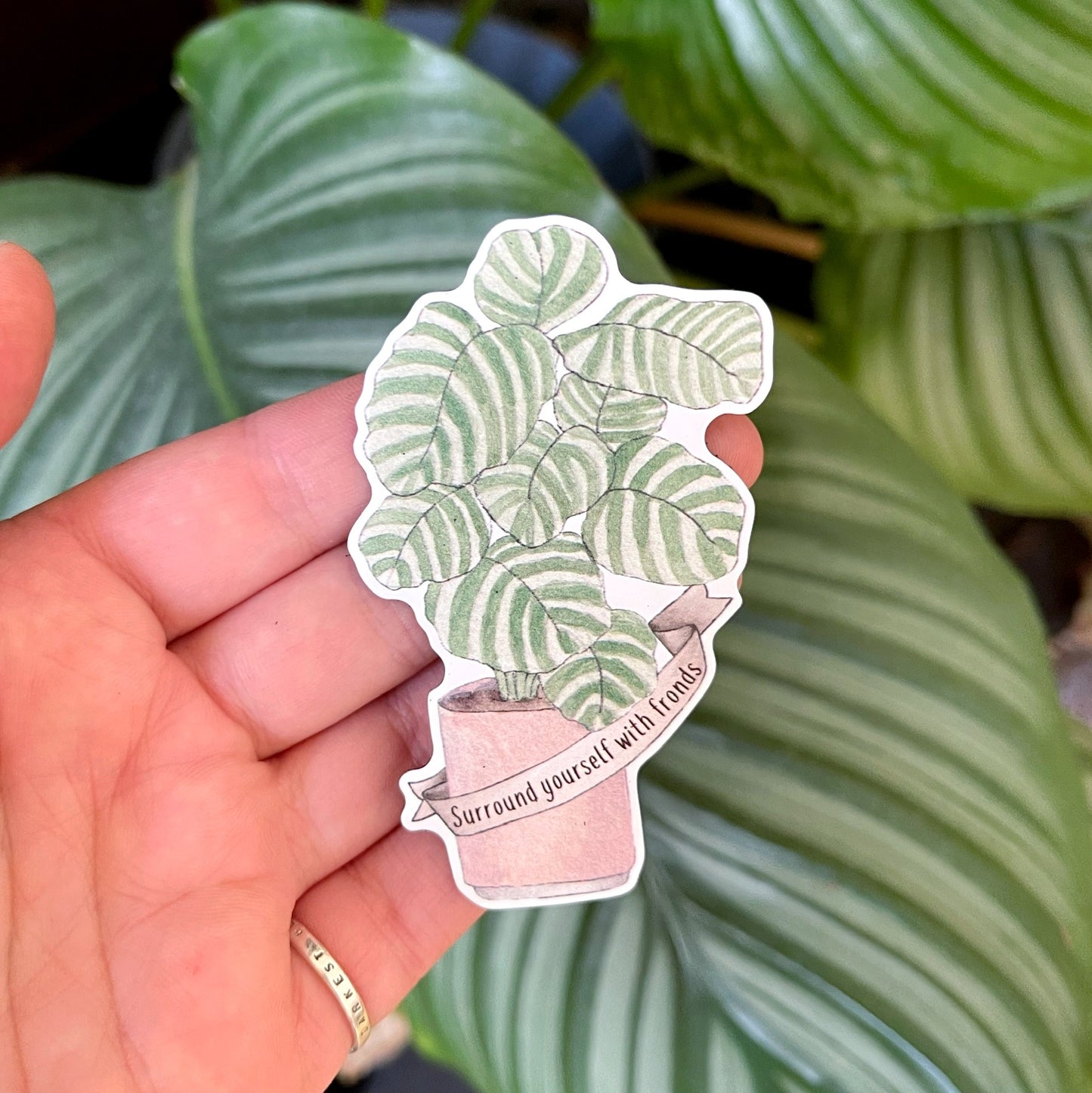Plant Puns Decorative Magnets
