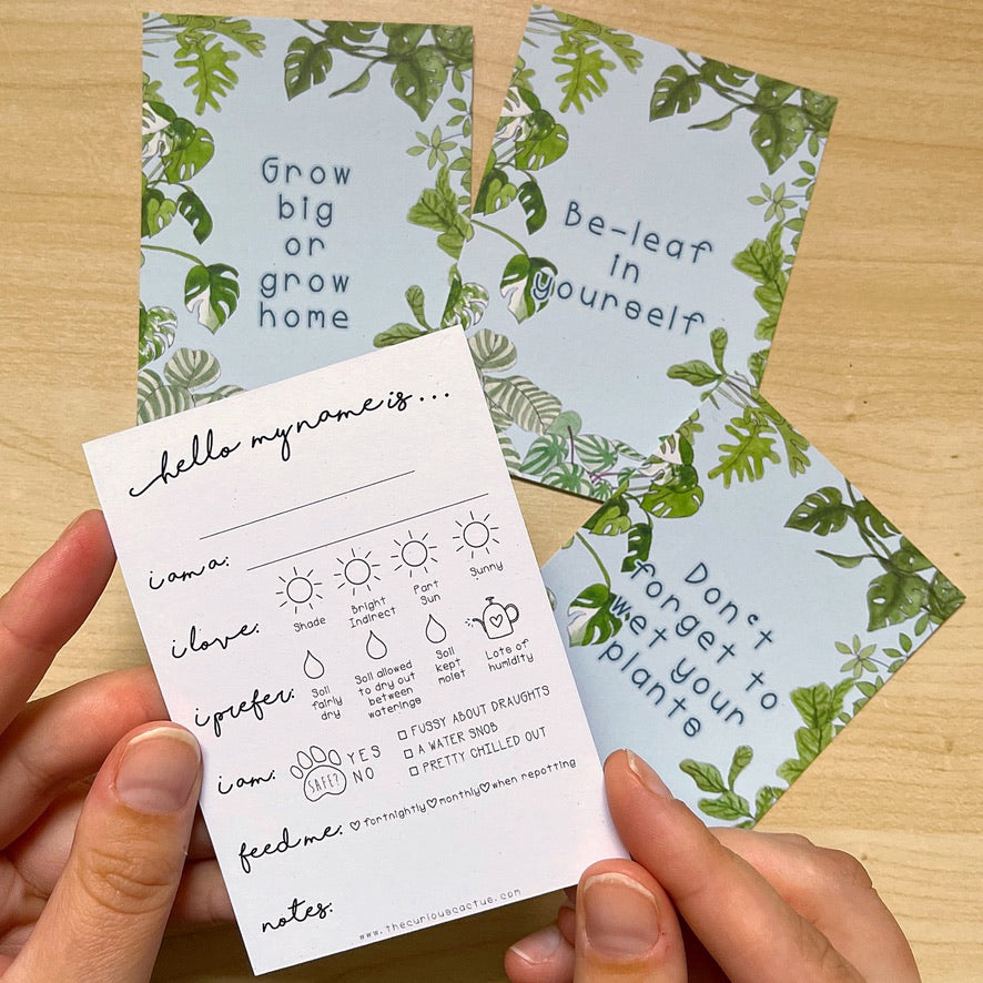 house plant care tags Plant Care Tags (Set 8)