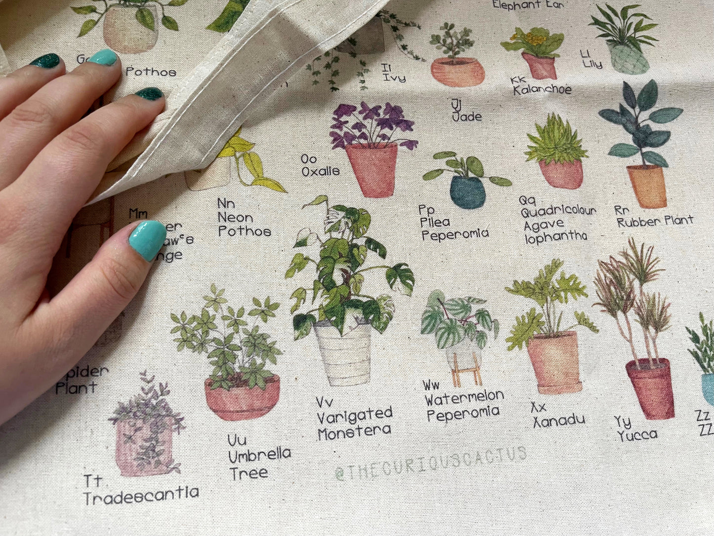 Plant Alphabet - Tote Bag