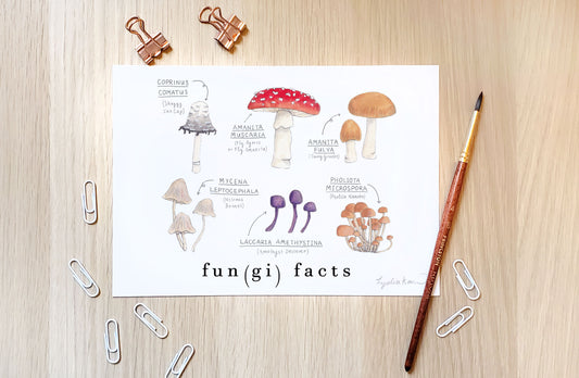 Fungi Facts Art Print