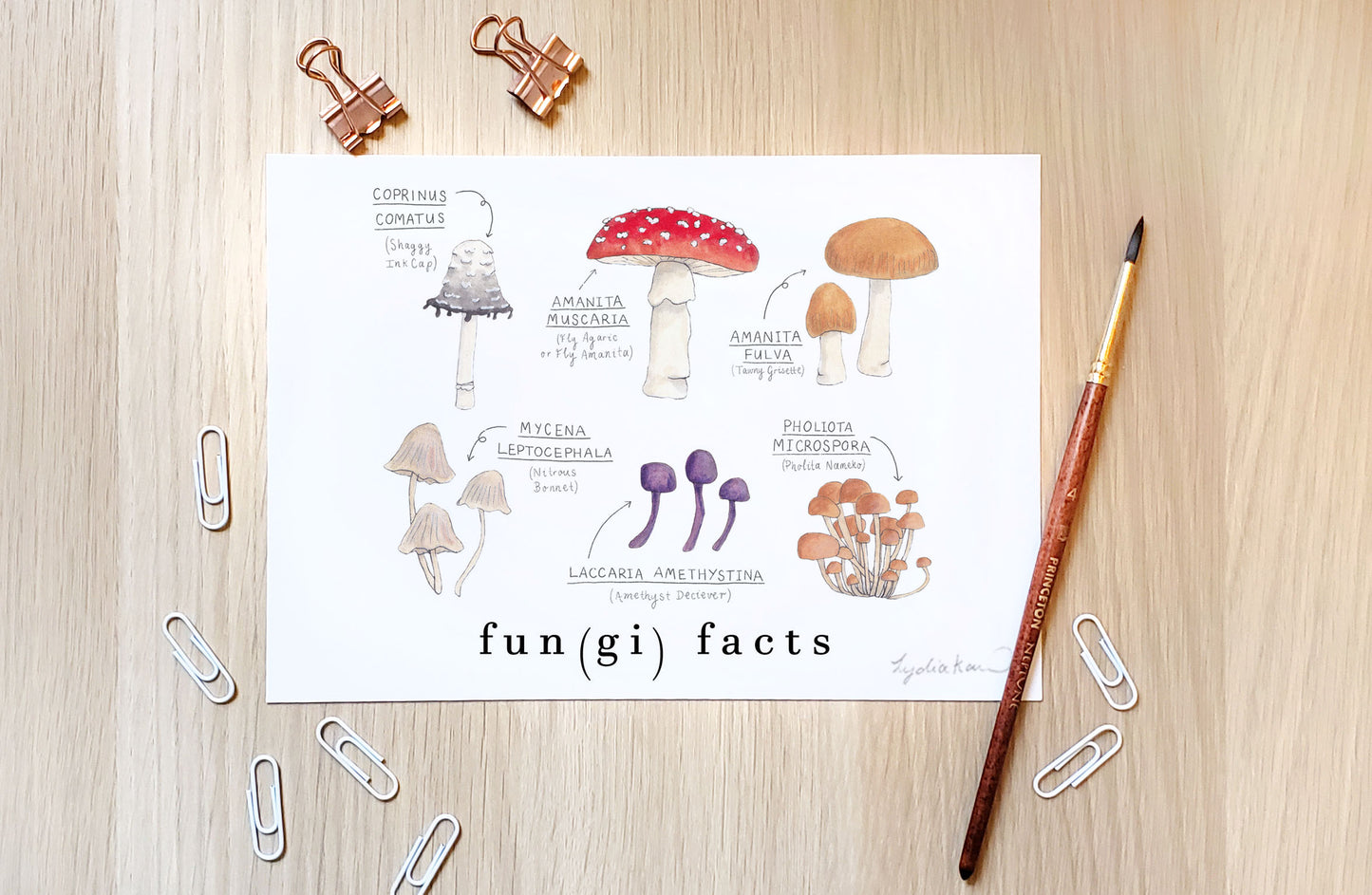 Fungi Facts Art Print