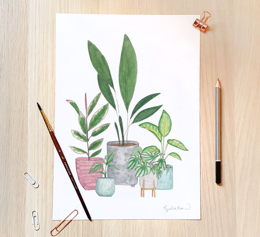 Plant Collection Art Print