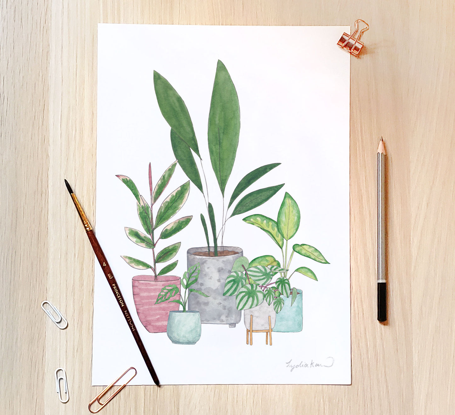 Plant Collection Art Print