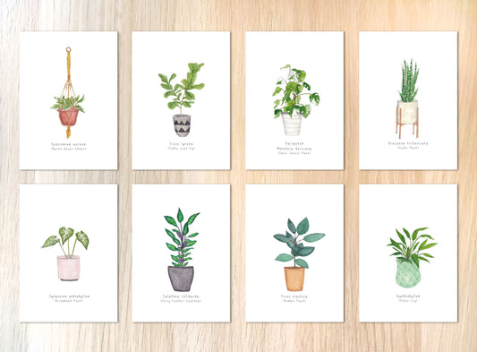 House Plant Art Postcard Prints