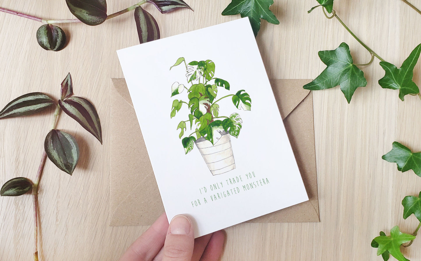 Variegated Monstera - Greeting Card