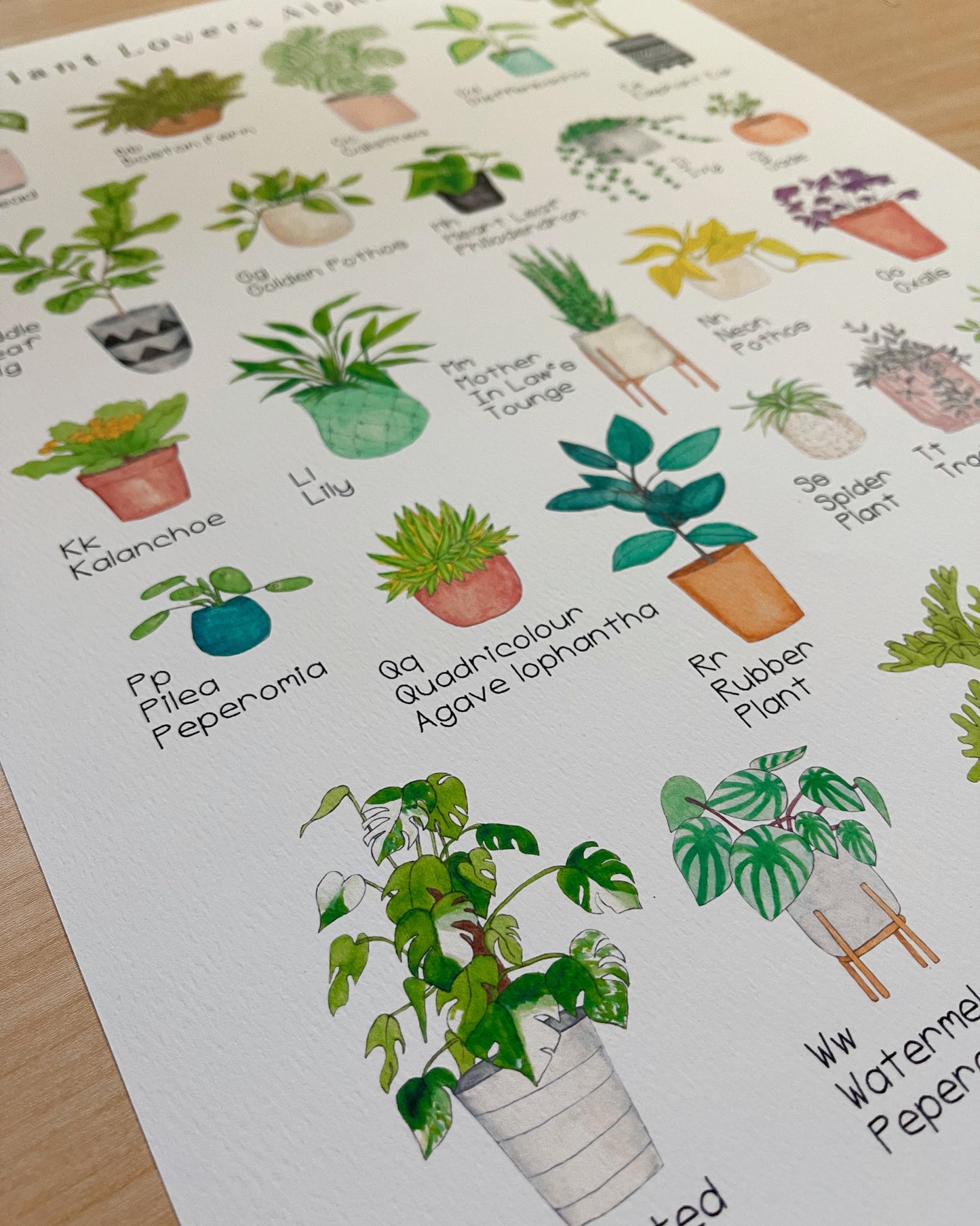 Plant Alphabet Art Print