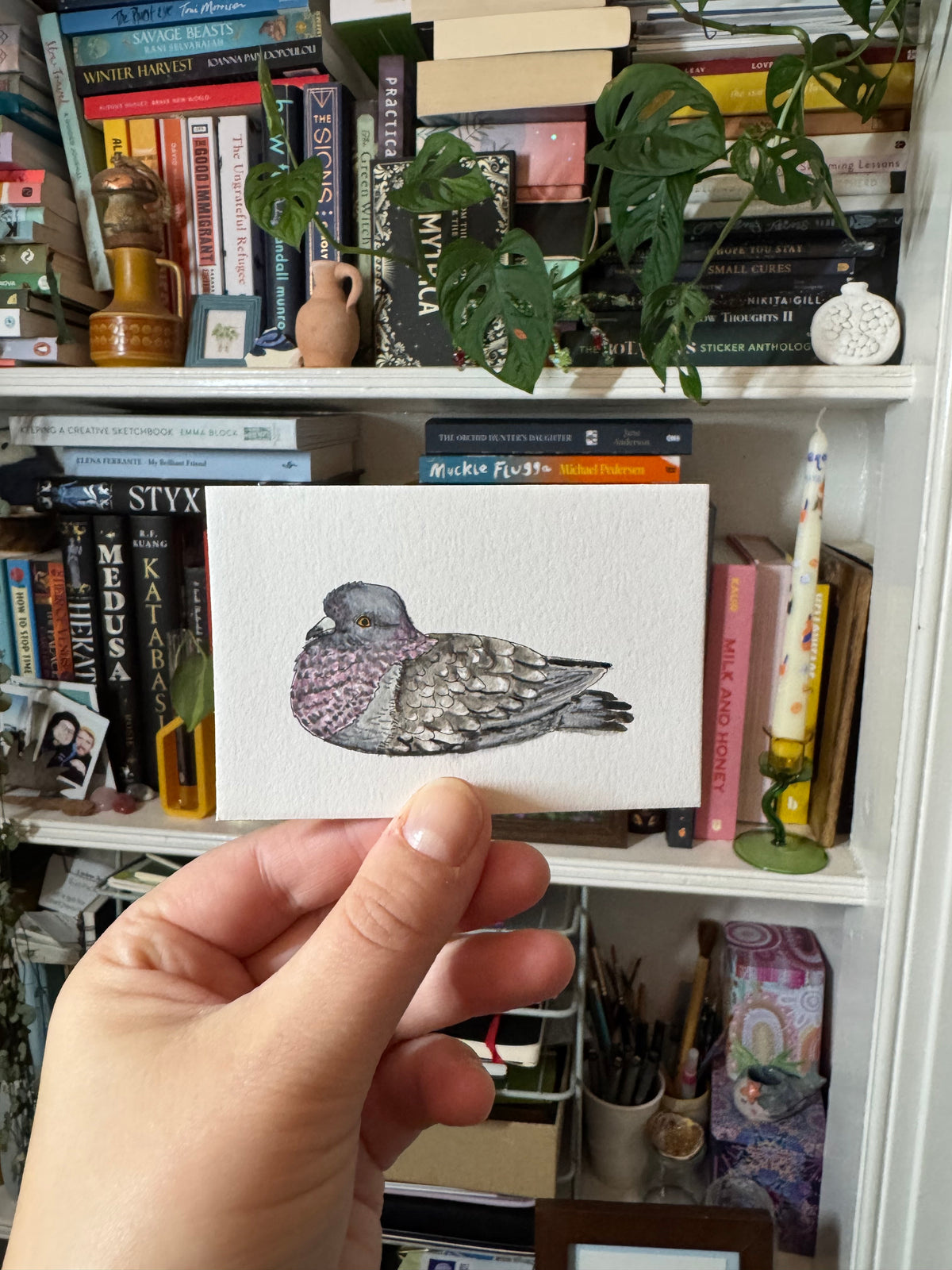 Pigeon 02 - Mini Original Painting