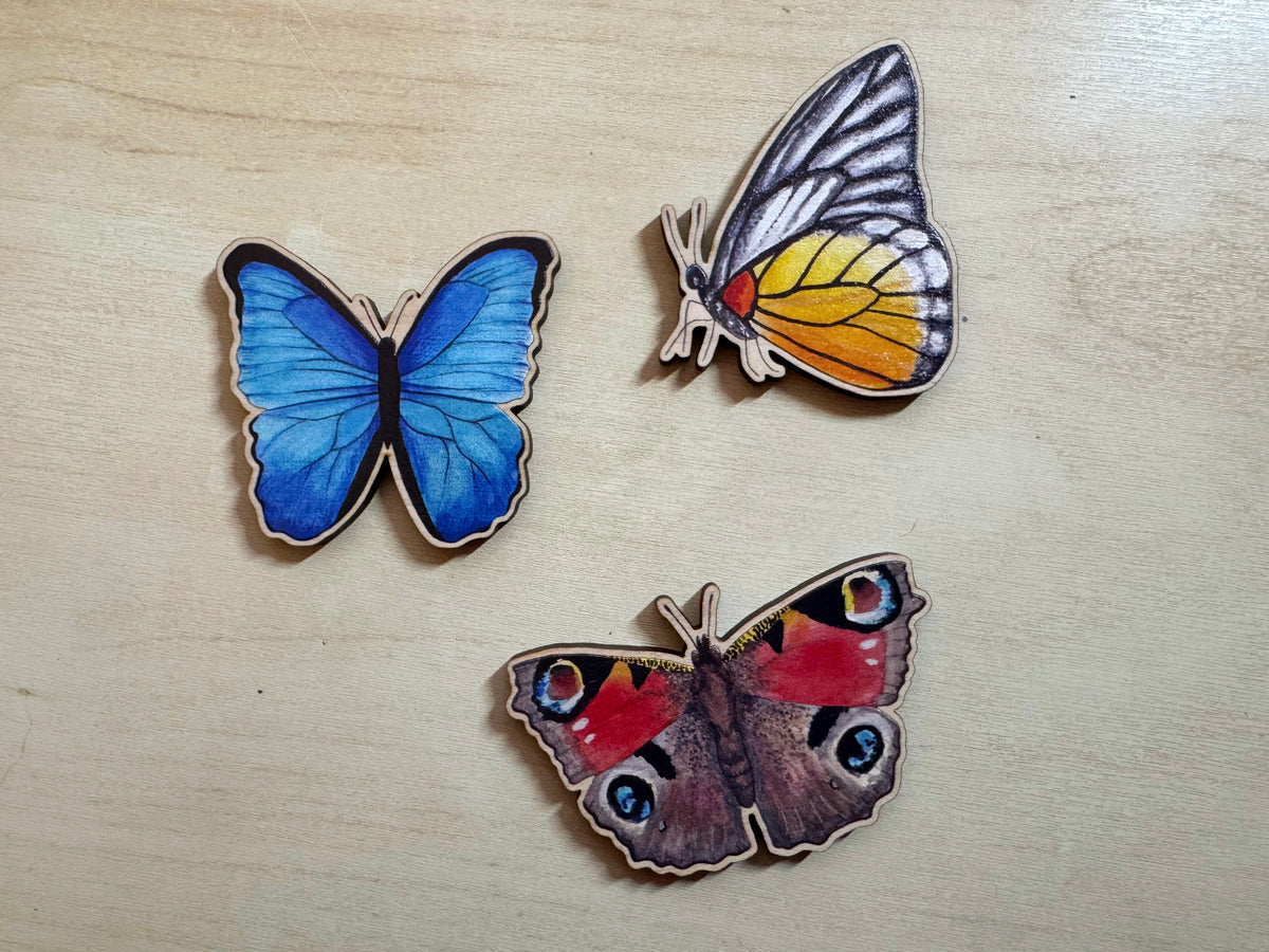 SECONDS Wooden Butterfly Magnets