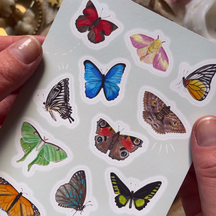 Butterflies and Moths Sticker Sheet