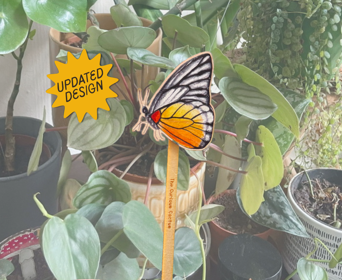 Red Spot Sawtooth Butterfly Plant Pot Pal