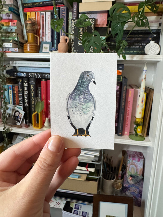 Pigeon 01 - Mini Original Painting