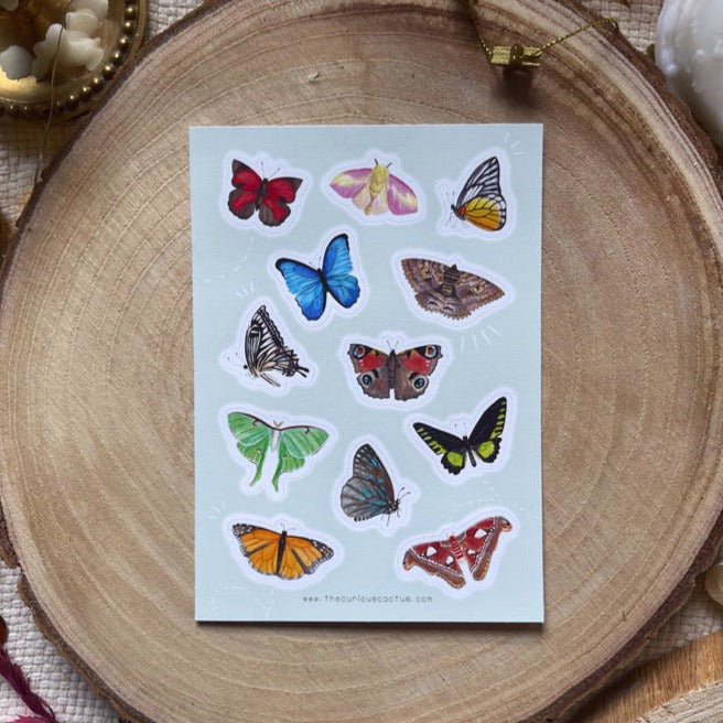 Butterflies and Moths Sticker Sheet