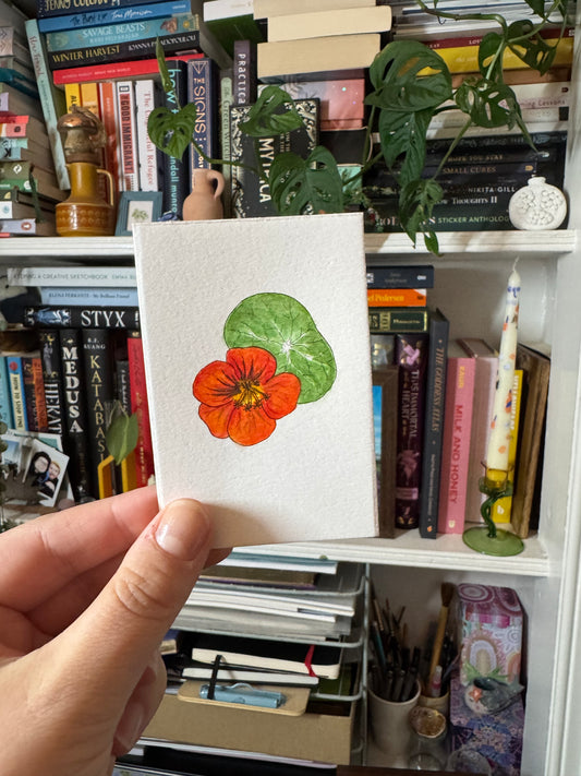 Nasturtium Flower - Mini Original Painting