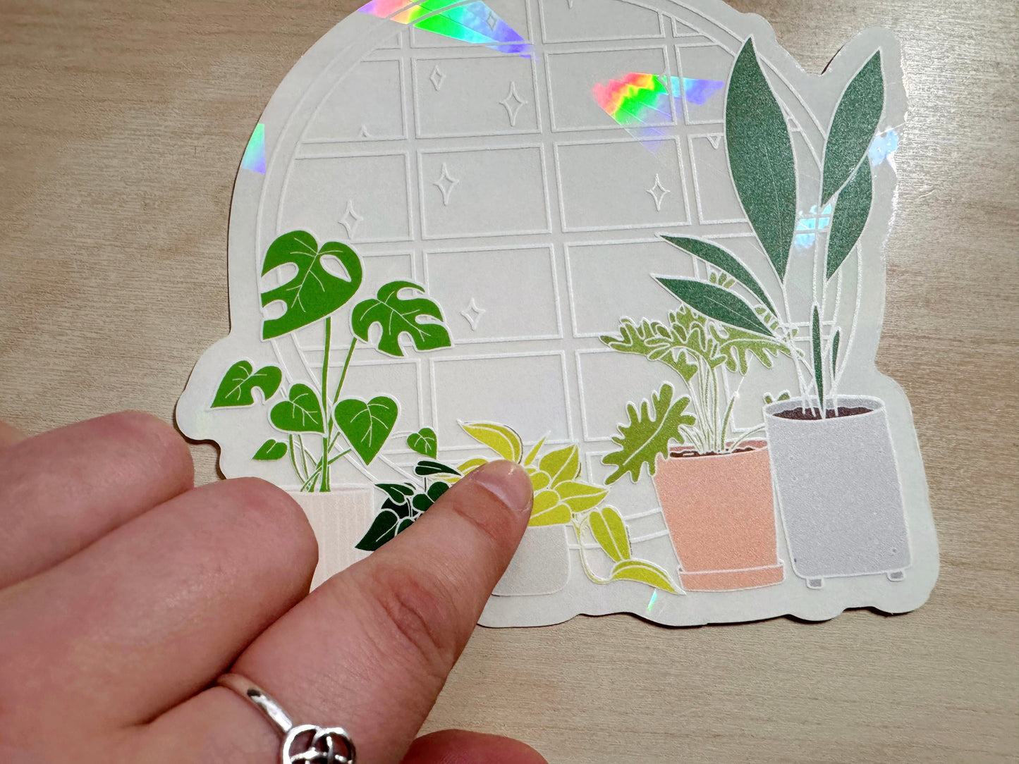 SECONDS Plant Window Suncatcher Sticker