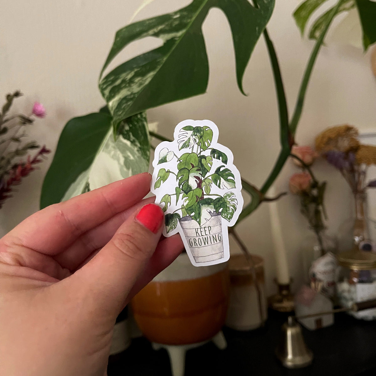 Plant Puns Decorative Magnets - Keep Growing