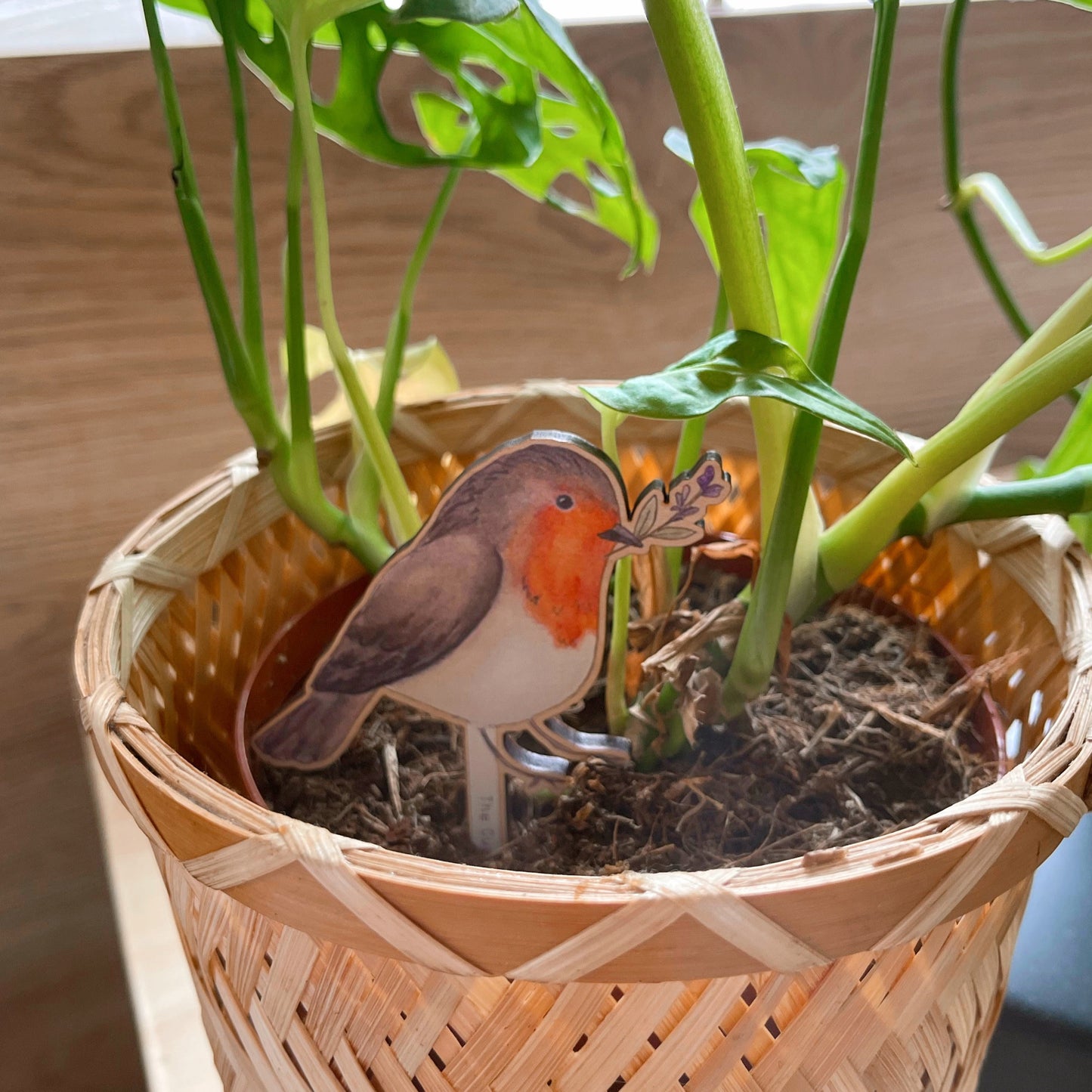 Robin Plant Pot Pal