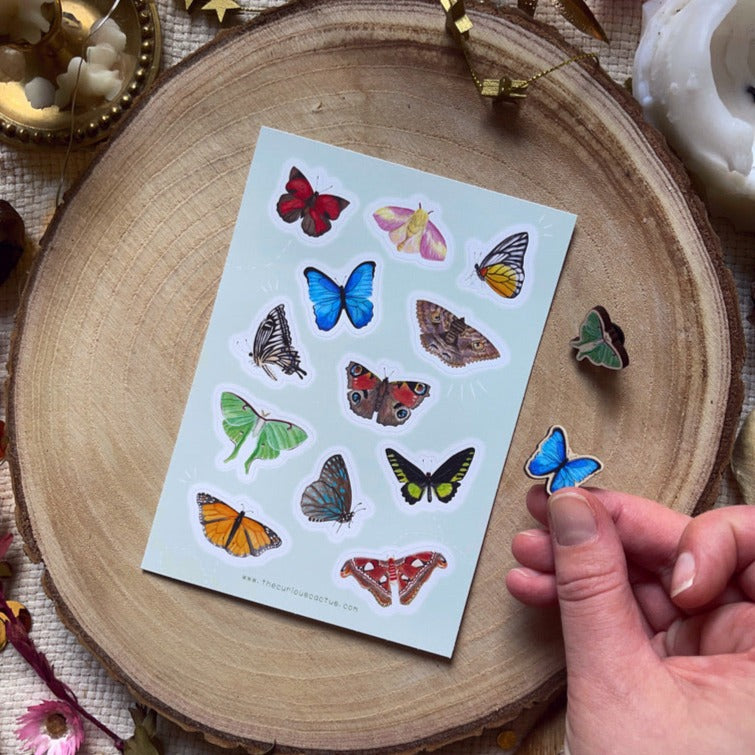Butterflies and Moths Sticker Sheet