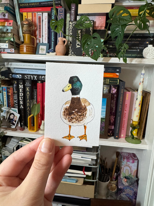 Duck - Mini Original Painting