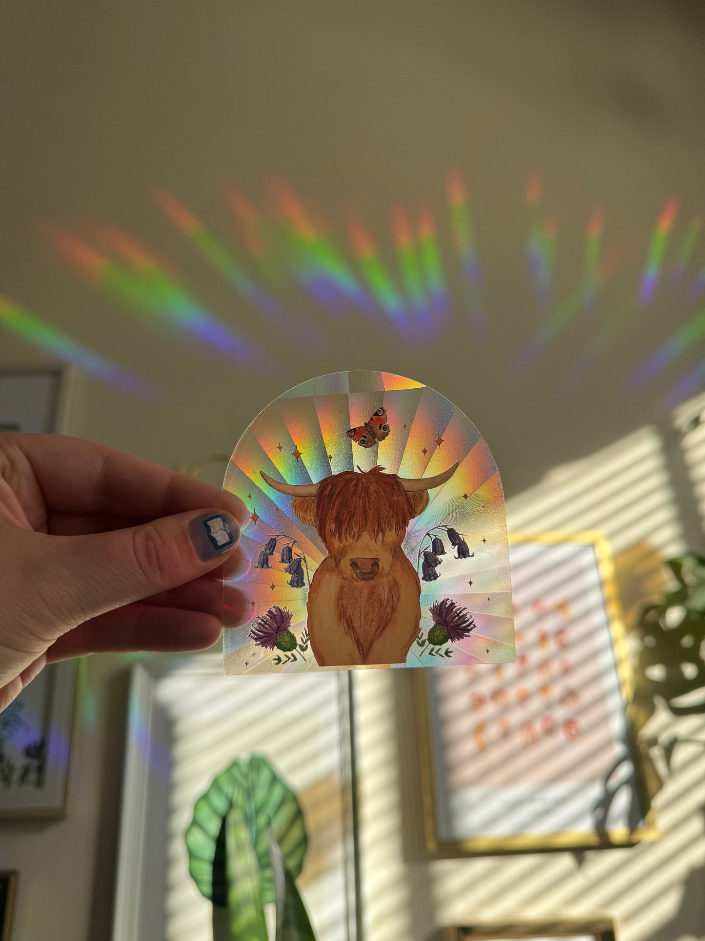 Highland Coo Suncatcher Sticker