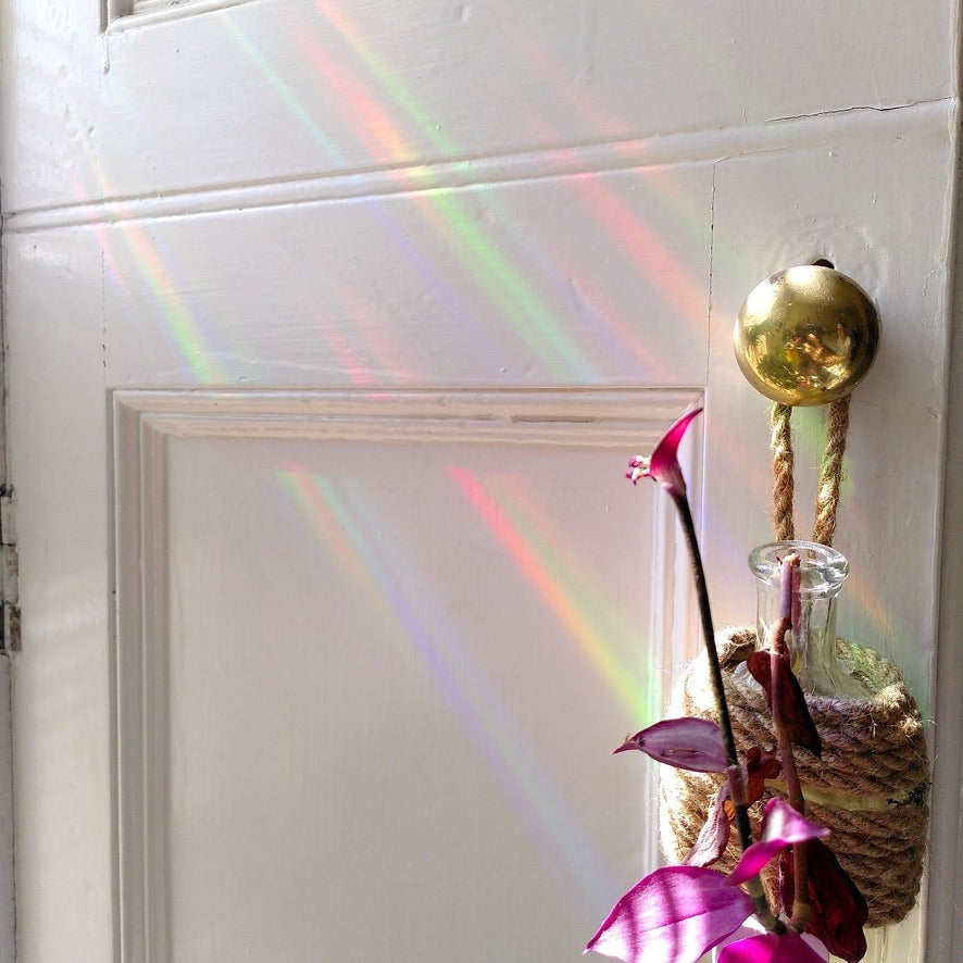 Toadstool Suncatcher Sticker