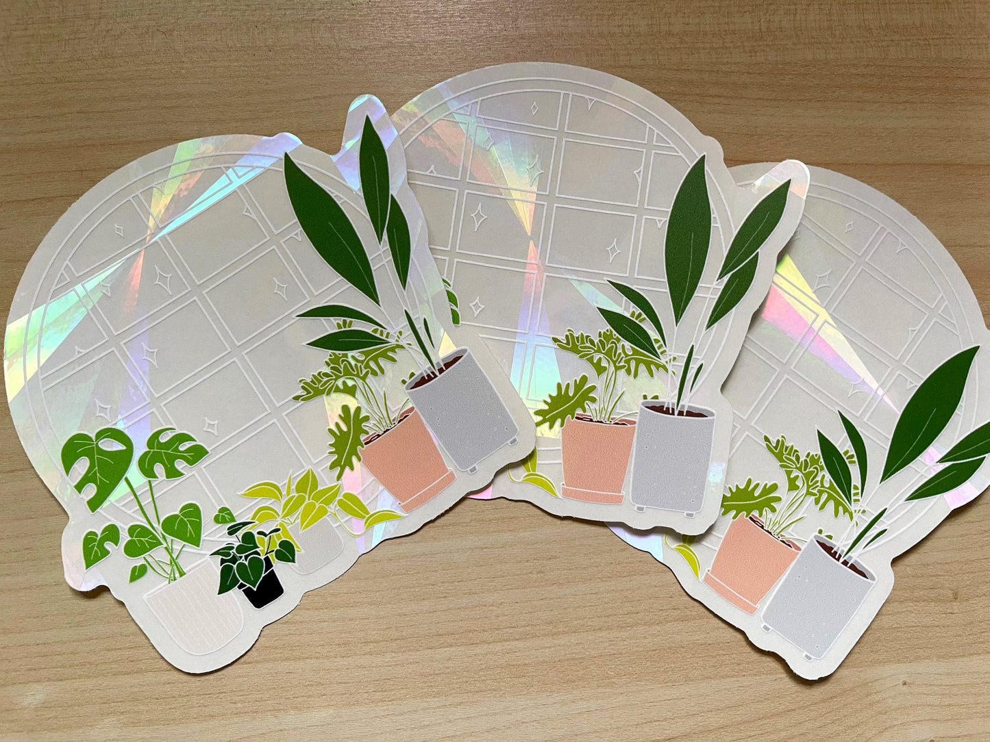 Plant Window Suncatcher Sticker