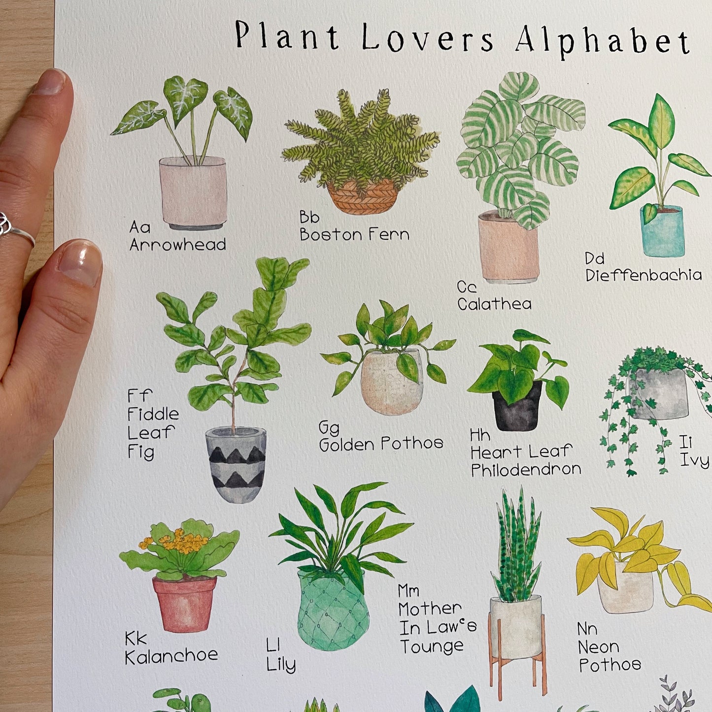 Plant Alphabet Art Print