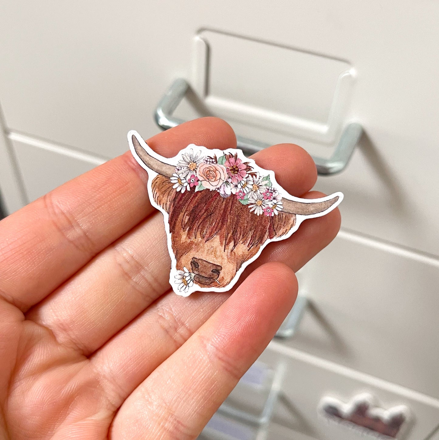 Highland Coo Decorative Magnet