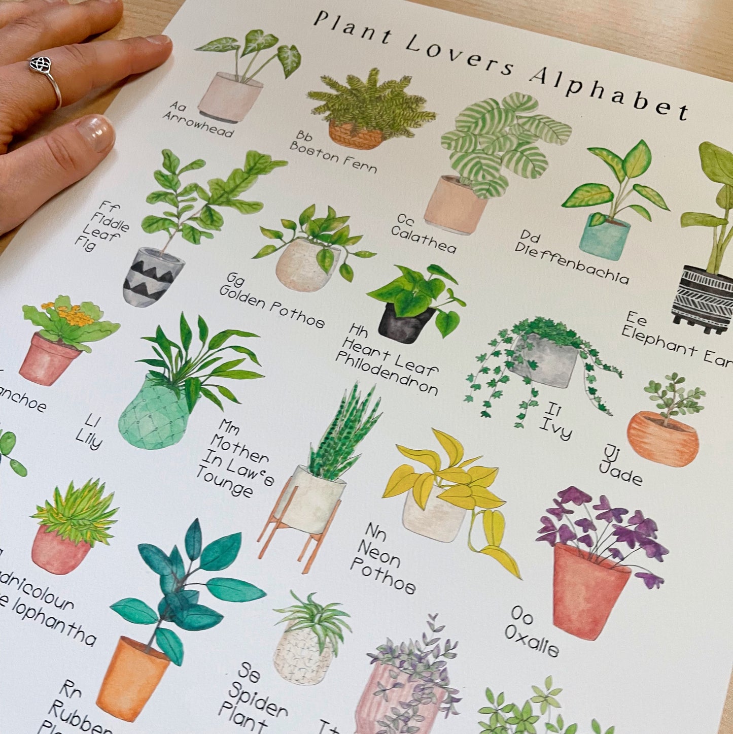 Plant Alphabet Art Print