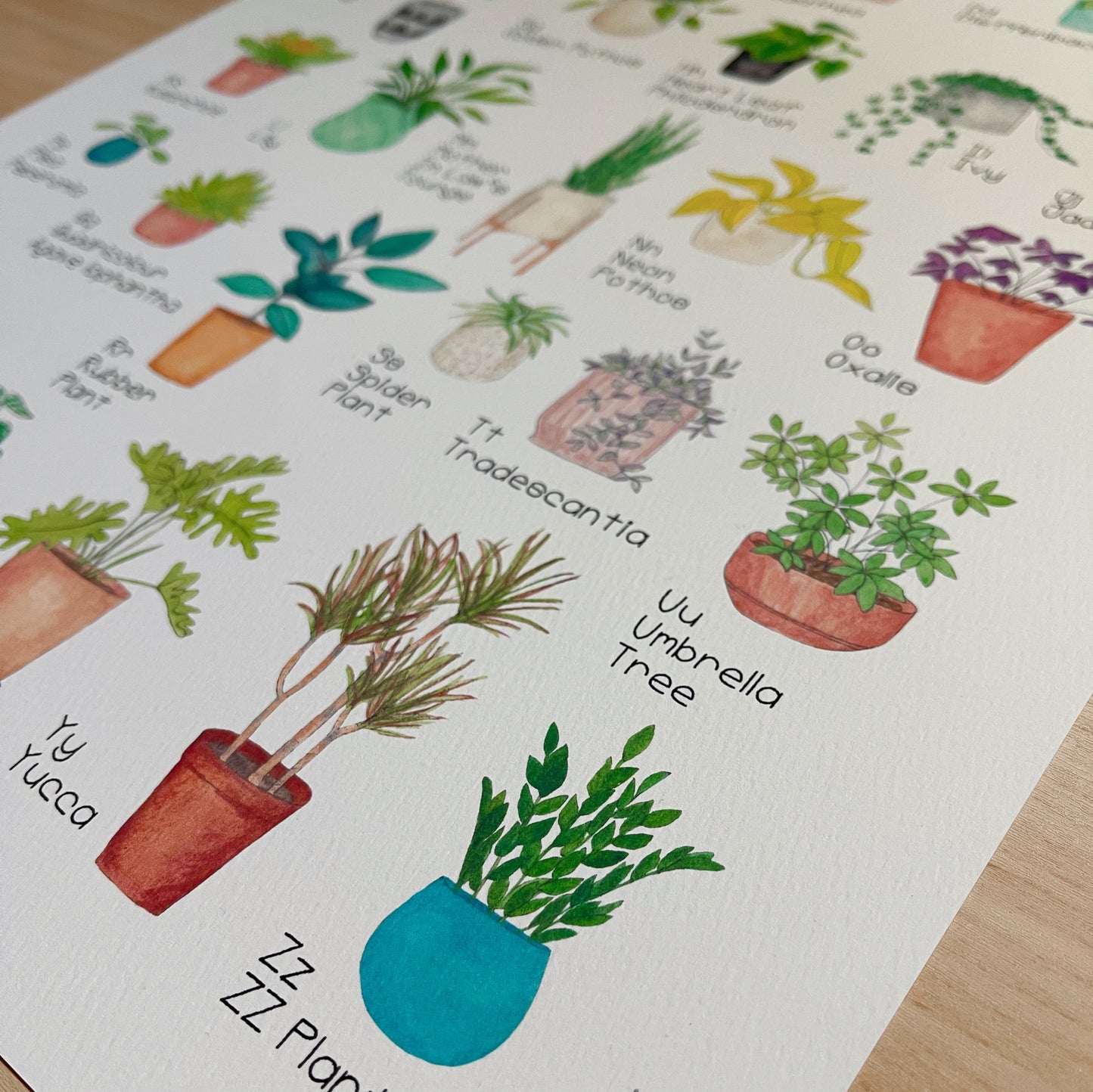 Plant Alphabet Art Print